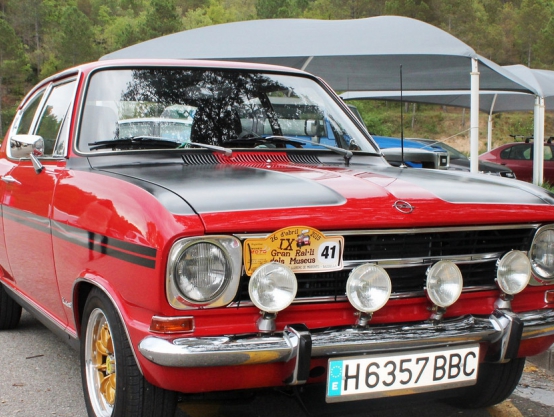 Celebrada la IX edició del Gran Ral·li dels Museus 